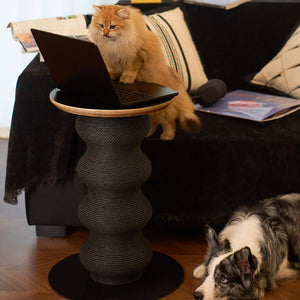 Ginger cat using a laptop on Coral Cat Scratcher Table while dog watches from floor.