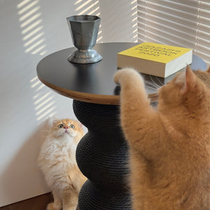 Close-up of cat scratching the wavy surface of black sculptural cat furniture with tabletop.