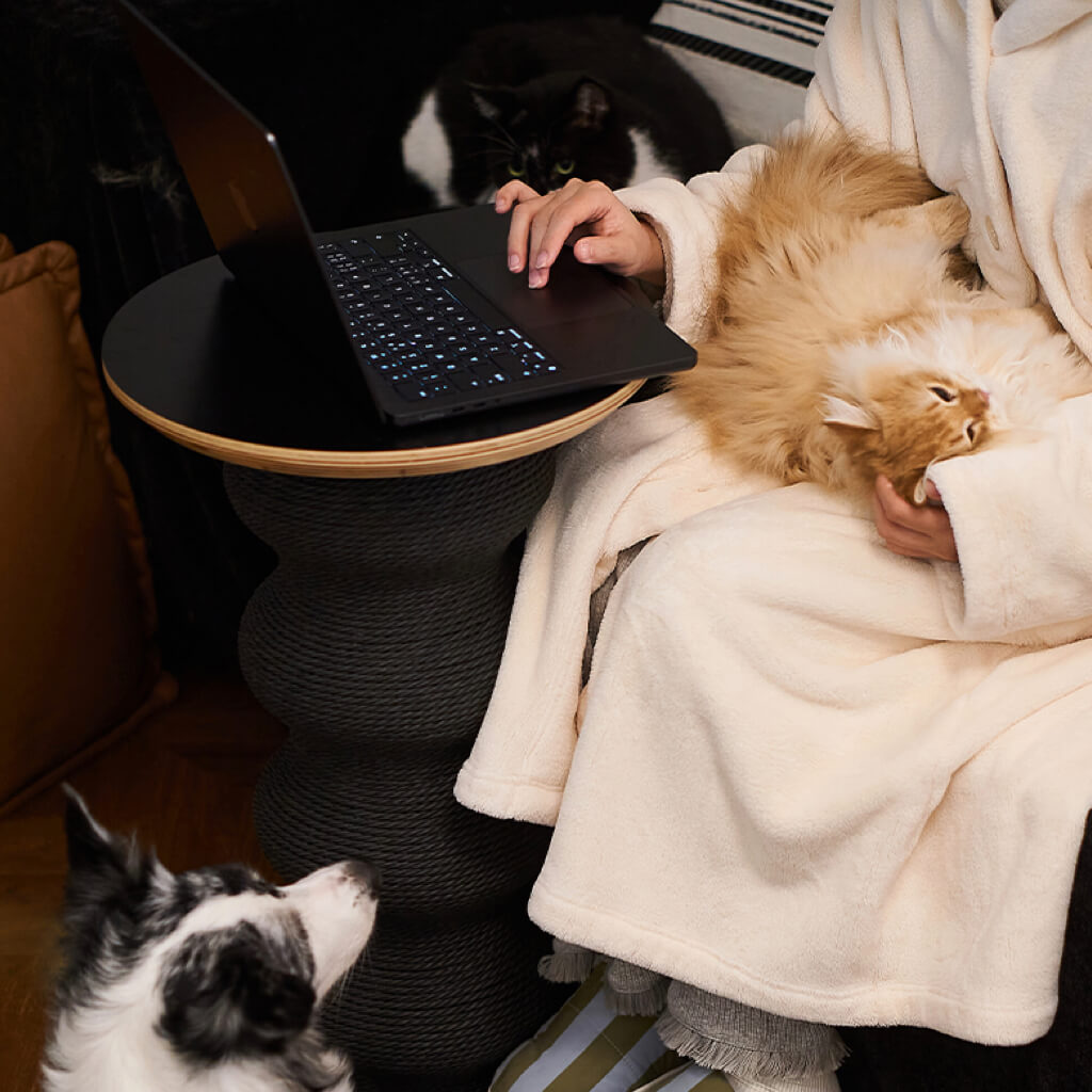 Person working on laptop next to multifunctional Coral Cat Scratcher while holding a fluffy cat on their lap.