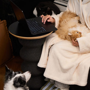 Person working on laptop next to multifunctional Coral Cat Scratcher while holding a fluffy cat on their lap.