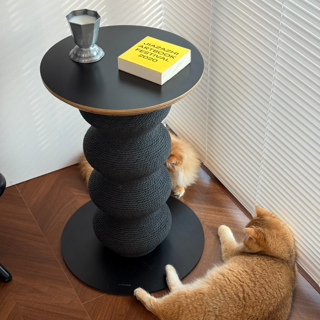 Three cats relaxing and playing around sculptural cat scratcher table placed near window blinds.
