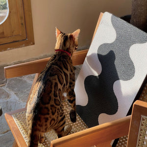 Bengal cat exploring Coral Cat Scratching Pad with black-and-white wave design on chair