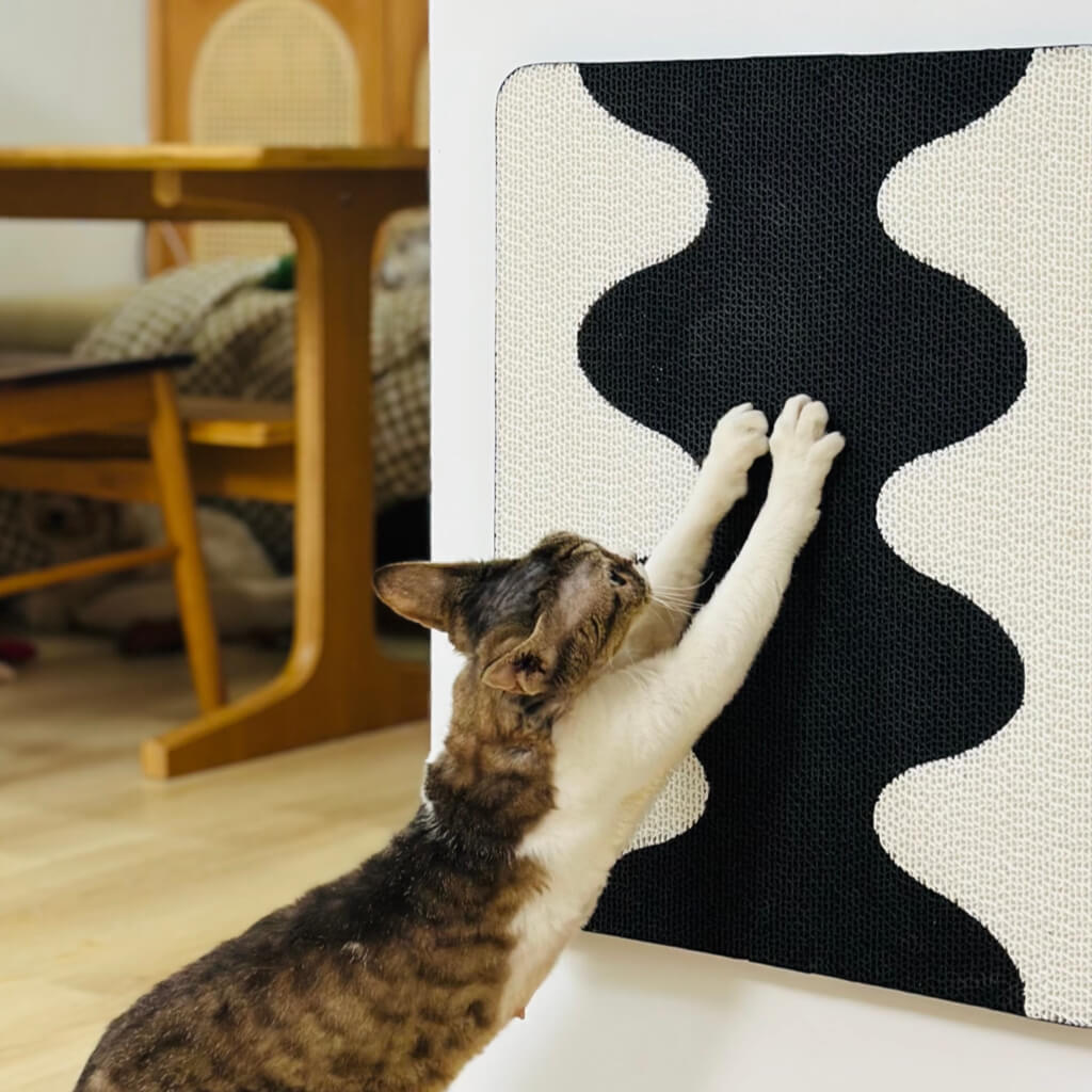 Cat stretching and scratching Coral Cat Scratching Pad with sleek black-and-white wave pattern