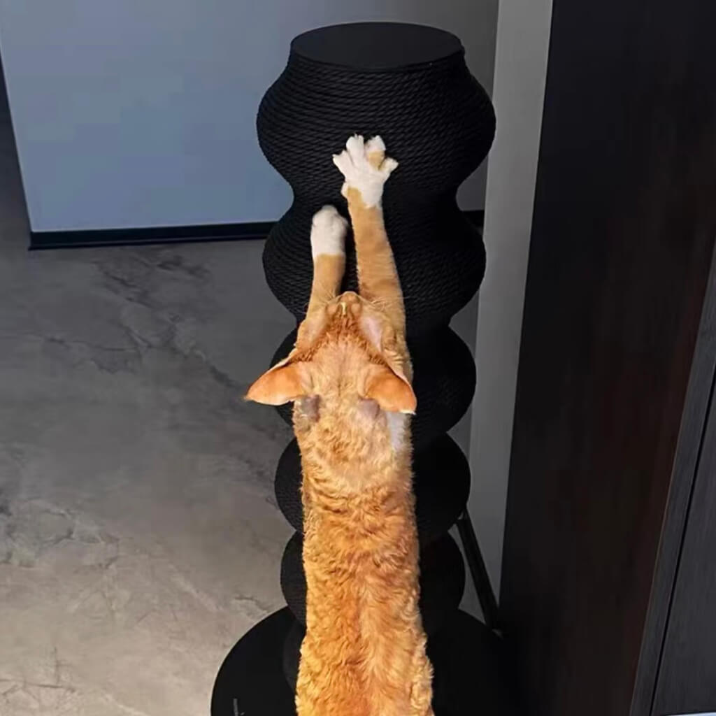 Vertical scratching post on sale