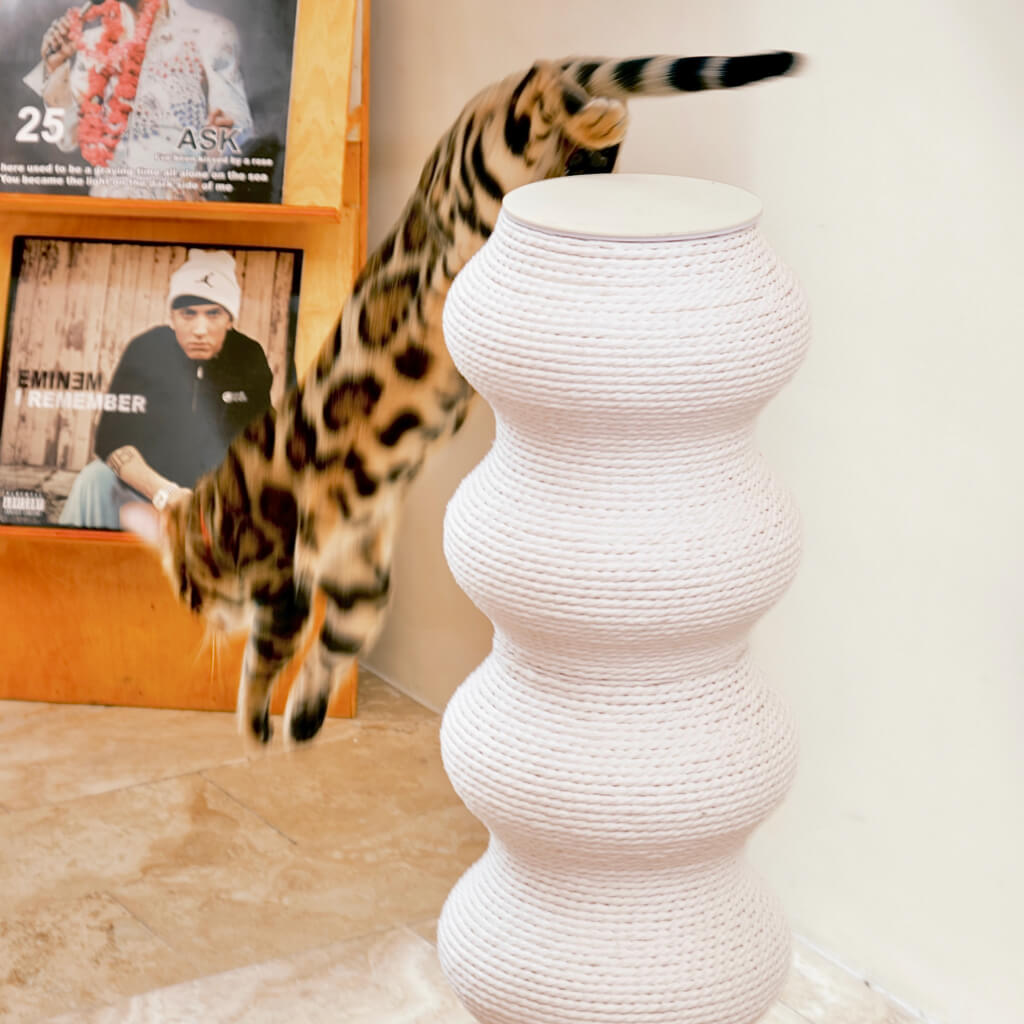 Minimalist Design Wavy Scratching Post White Pewos