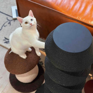 White cat sitting on a modern Minimalist Wavy Scratching Post, a stylish and functional cat scratcher with a sculptural design that blends into home decor.