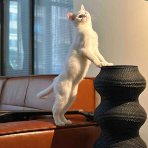 White cat standing on a black Minimalist Wavy Scratching Post, an aesthetic and durable cat scratcher designed for scratching, climbing, and stretching.