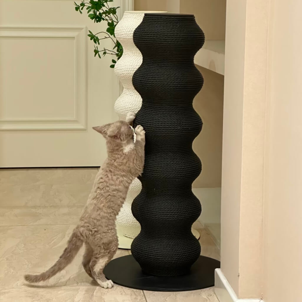 Devon Rex cat scratching the black Minimalist Wavy Scratching Post, a modern and sturdy cat scratching tower designed for claw maintenance and play.