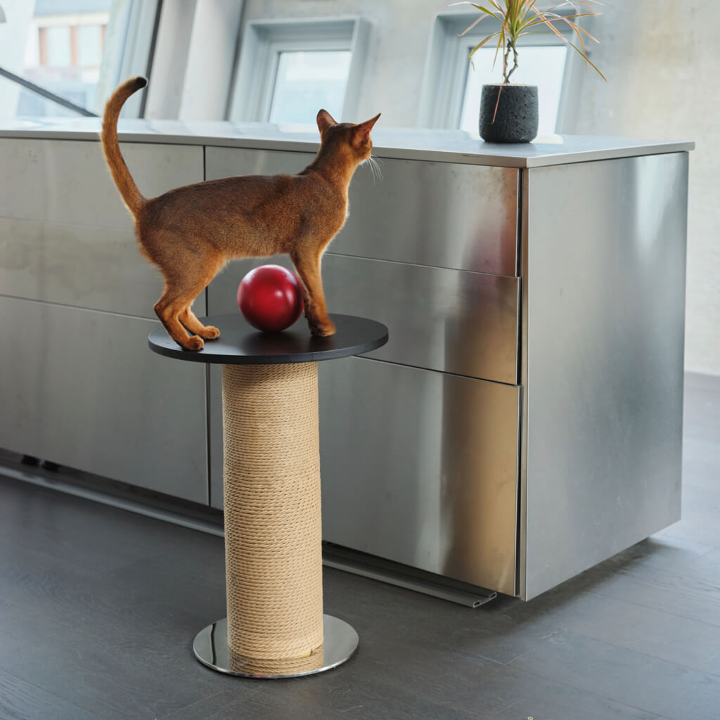 Scratching Posts Medium Sized Cat Tree Modern Design Cat