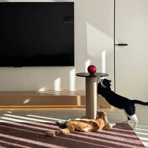 Modern Design Cat Scratching Post + Side Table — sisal-wrapped cylinder with black tabletop; two cats playing in a sunlit living room.
