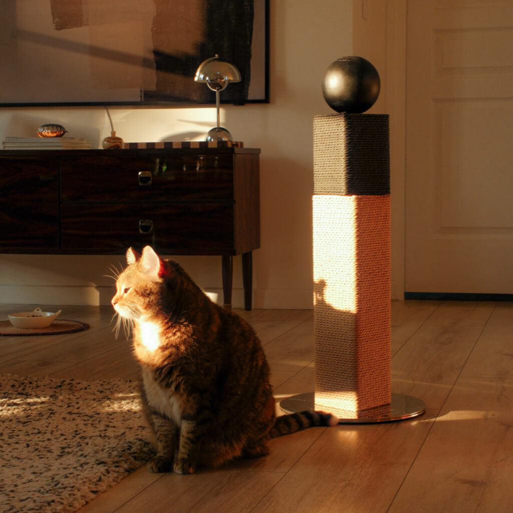 Modern matchstick cat scratching post with two-tone sisal rope and black orb top on metal base; tabby cat in warm living room.