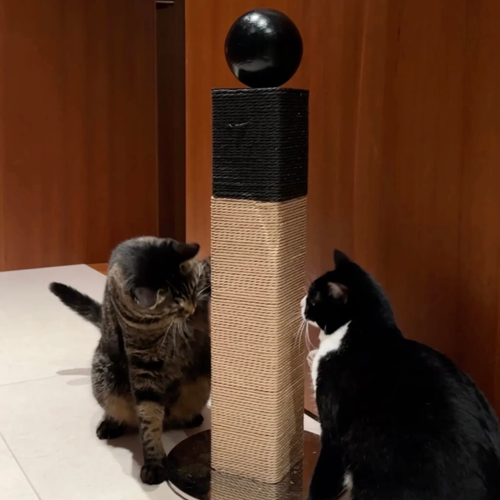 Two cats using a tall sisal scratching post with weighted metal base; sturdy, modern design ideal for multi-cat homes.