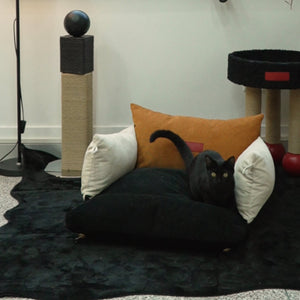 Modern pet couch in orange and black corduroy fabric, ideal for cats and small dogs.
