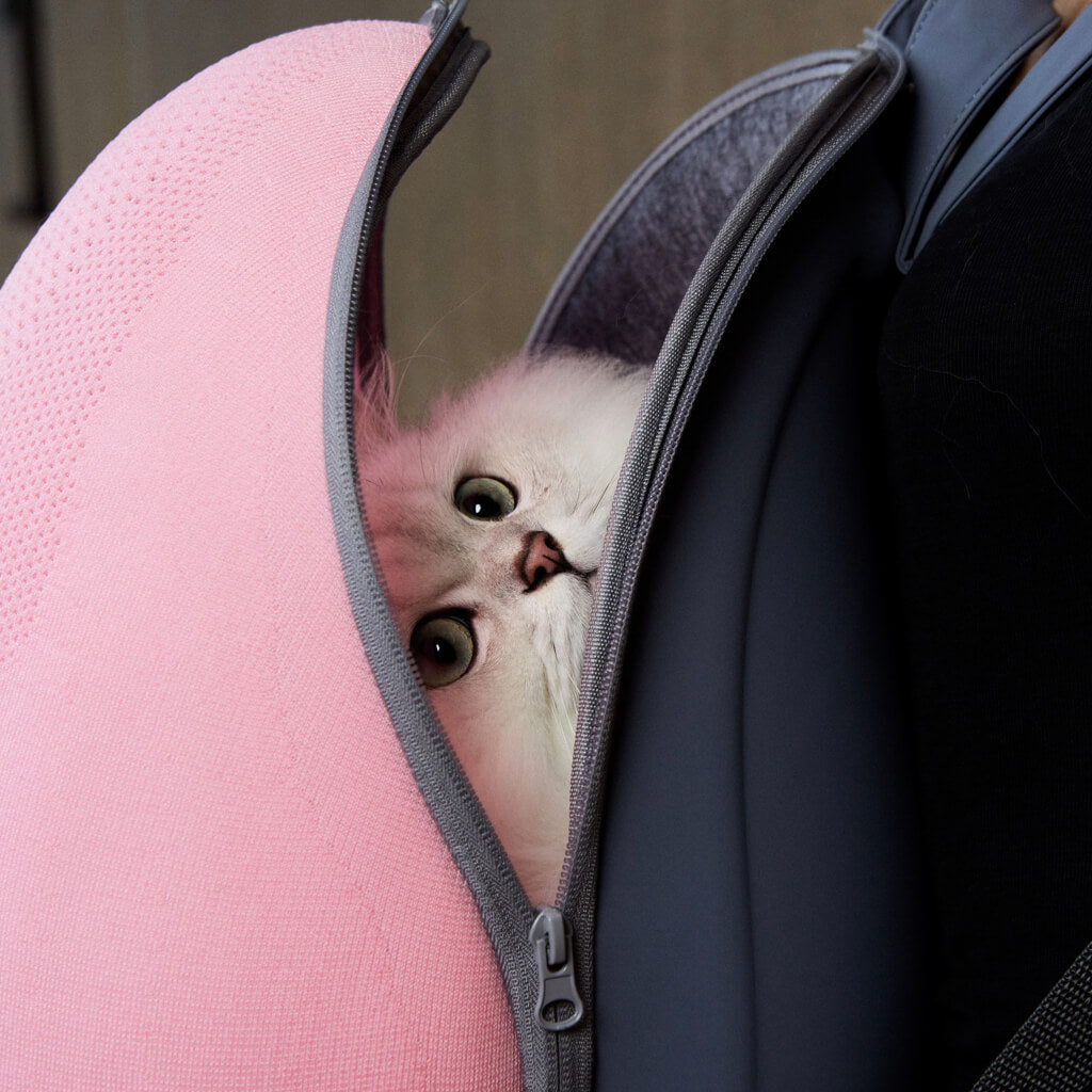 Extra-light Cat Travel Backpack- Pink+Grey