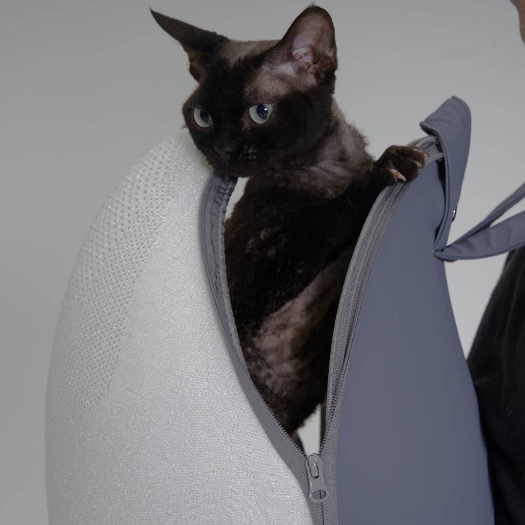 Cat peeking out from the Extra-light Cat Travel Backpack during an outdoor adventure.