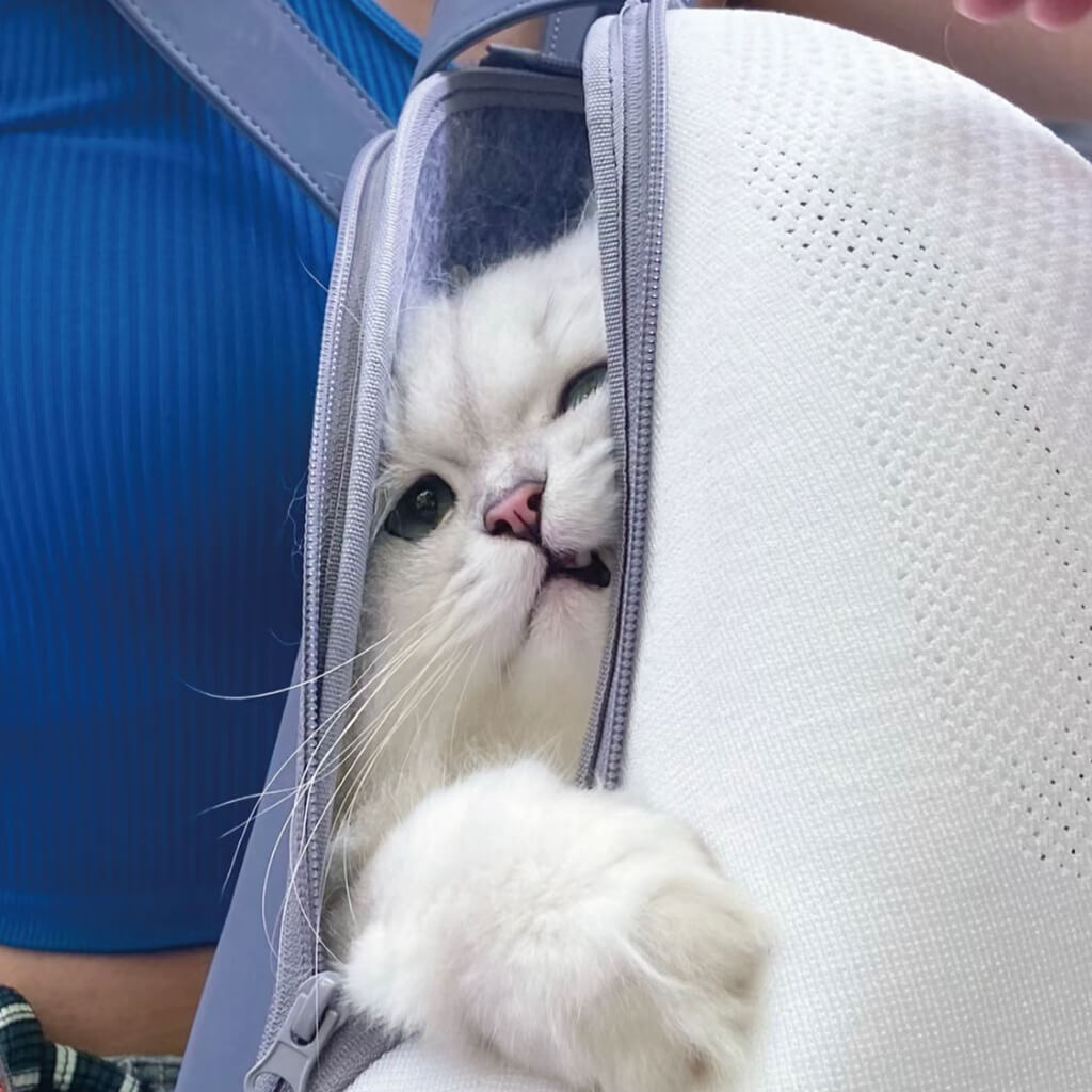 Extra-light Cat Travel Backpack - White+Grey