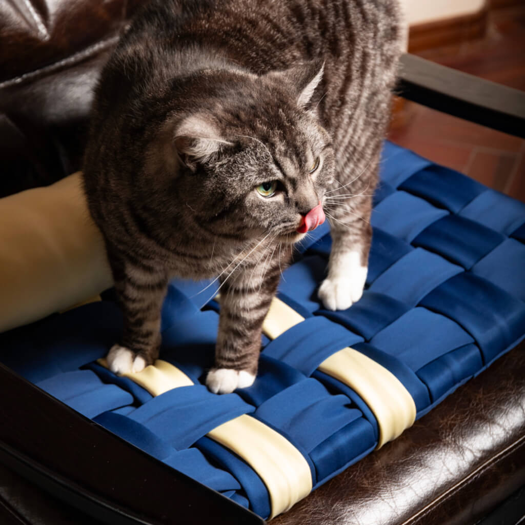 A tabby cat standing on the cozy handwoven pet mat in blue and light yellow, enjoying the soft texture.