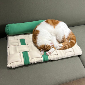 Cat peacefully sleeping on the Handwoven Design Pet Mat - Green and Ivory, perfect for cozy naps.