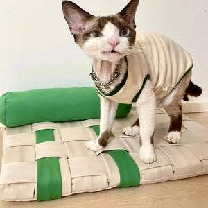 Cat standing on the Green and Ivory pet mat, showcasing stylish design and soft fabric.