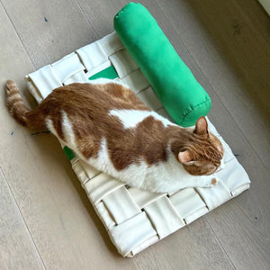 Top-down view of a cat resting on the Handwoven Design Pet Mat - Green and Ivory, modern pet bed for cats.