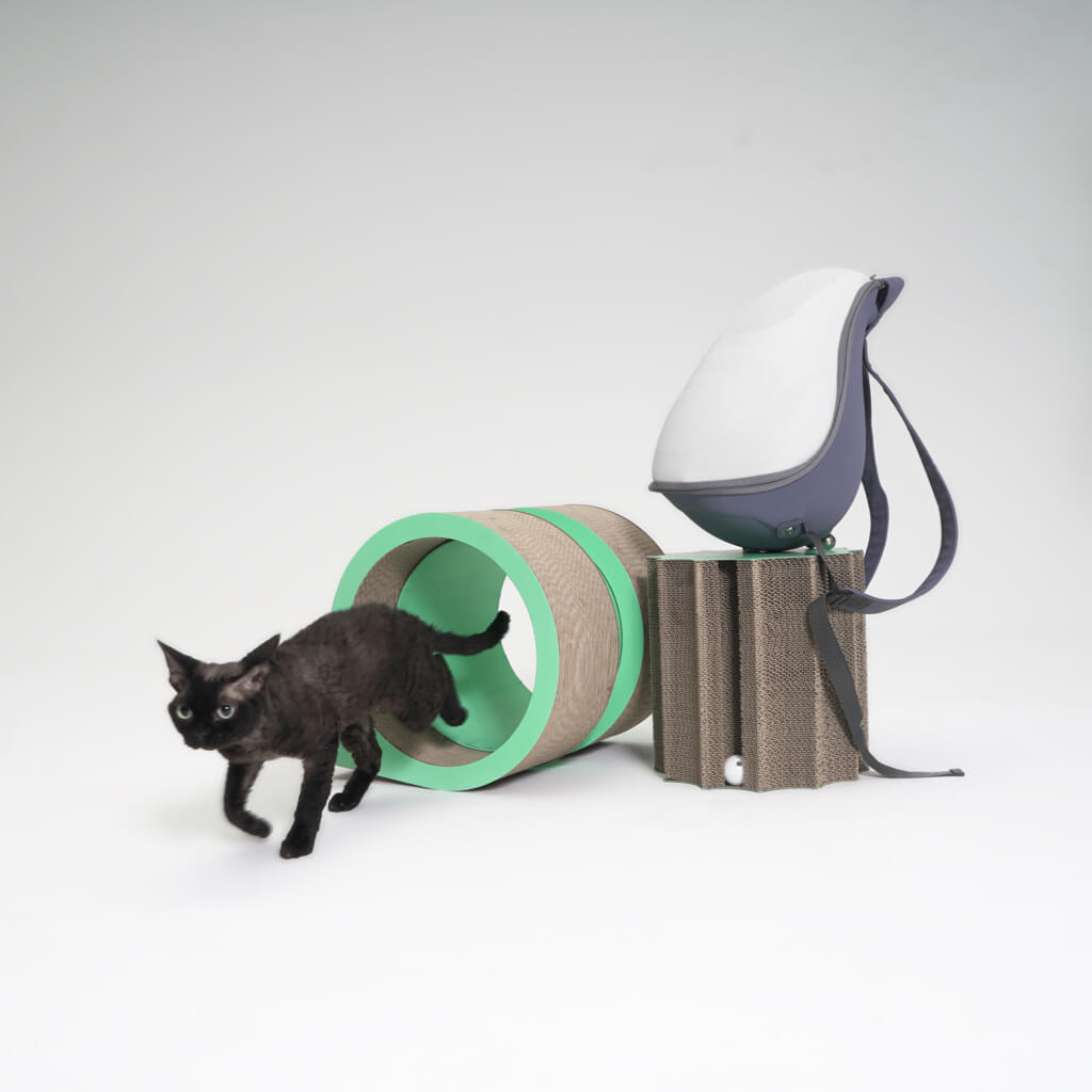 A black cat exploring the XYZ Modular Cat Scratching Set, curved design with green and cardboard finish.