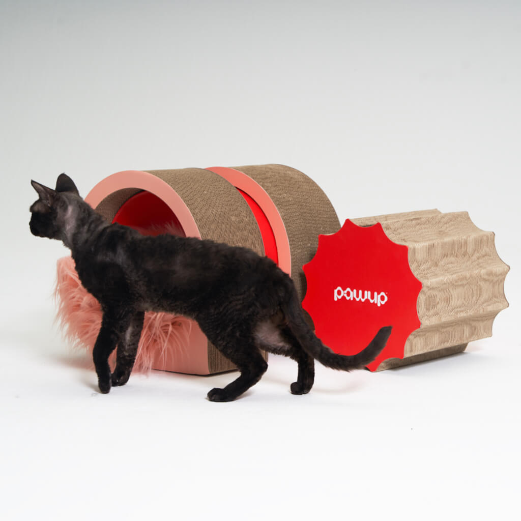 Cat playing around XYZ Modular Cat Scratching Set, showing its multi-functionality.