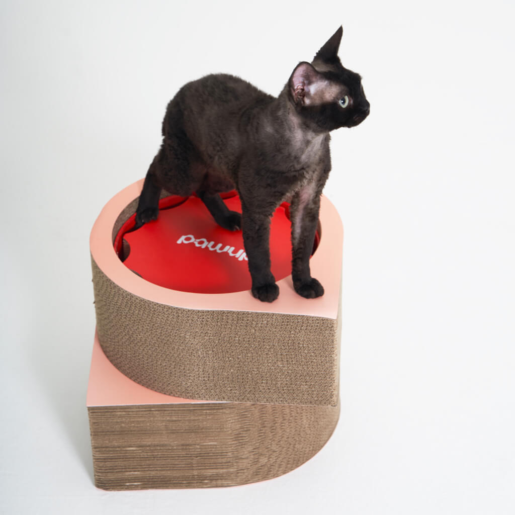 Cat sitting on top of the XYZ Modular Cat Scratching Set, used as a vertical stand.