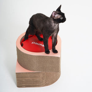 Cat sitting on top of the XYZ Modular Cat Scratching Set, used as a vertical stand.