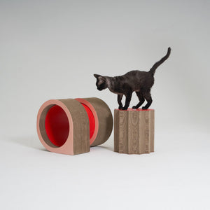 XYZ Modular Cat Scratching Set showing tunnel and vertical configuration, with a curious cat exploring.