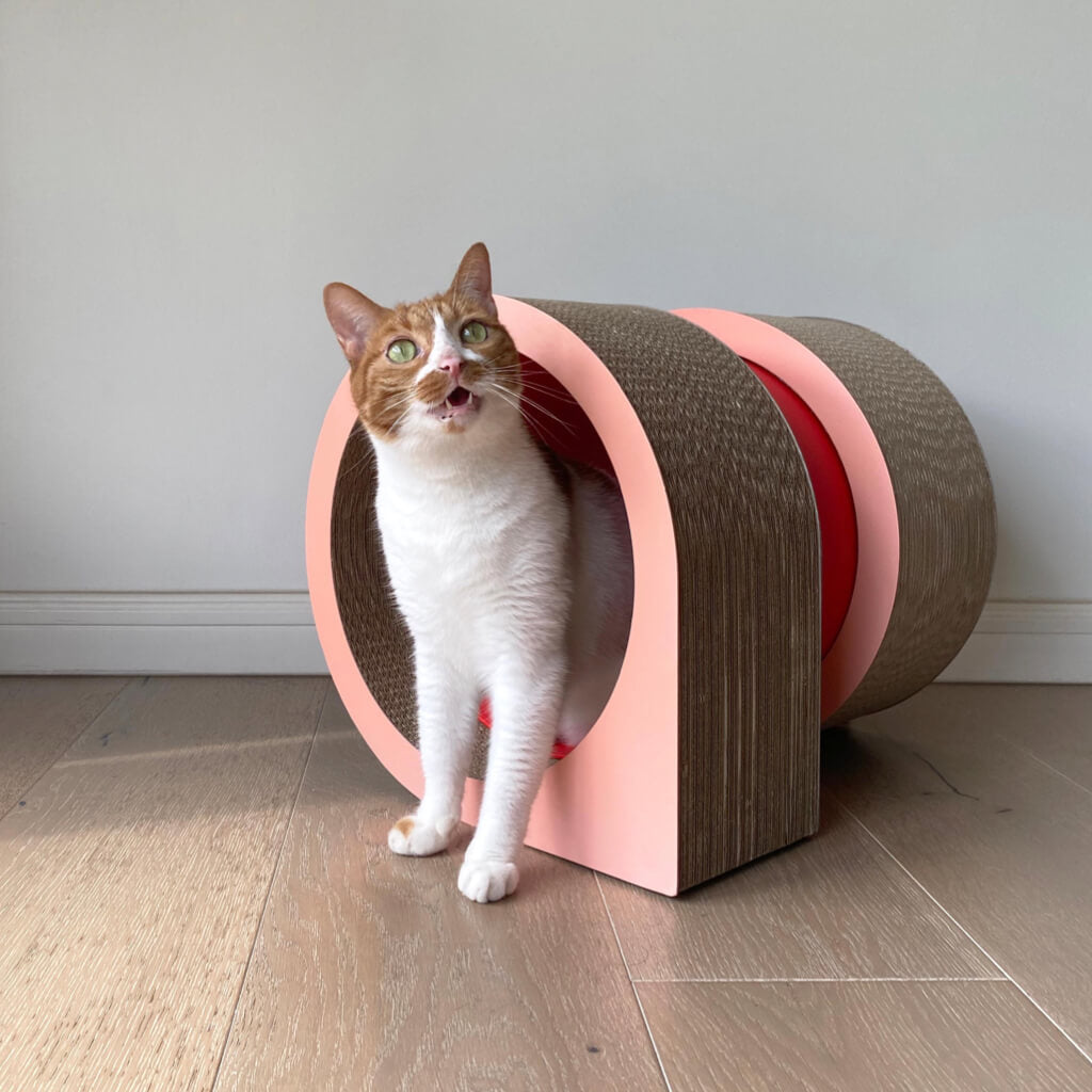 XYZ Modular Cat Scratching Set – Cat exploring the tunnel, a perfect hideout and bed combo.