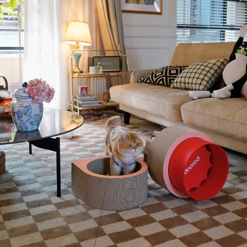 Stylish home setting with a cat inside the pink tunnel of the XYZ Modular Cat Scratching Set, blending with the modern decor.