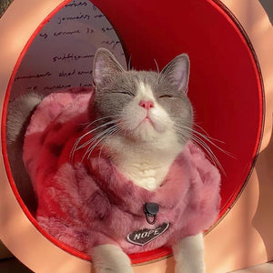 Cat resting in the circular section of the XYZ Modular Cat Scratching Set – a cozy and stylish spot.