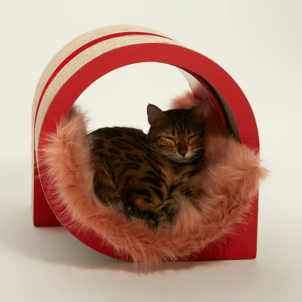 Cat comfortably curled up inside the red arch with soft fur bedding in the XYZ Modular Cat Scratching Set.