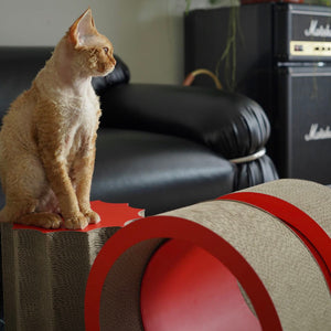 Cat exploring the vibrant red scratching components of the XYZ Modular Cat Scratching Set.
