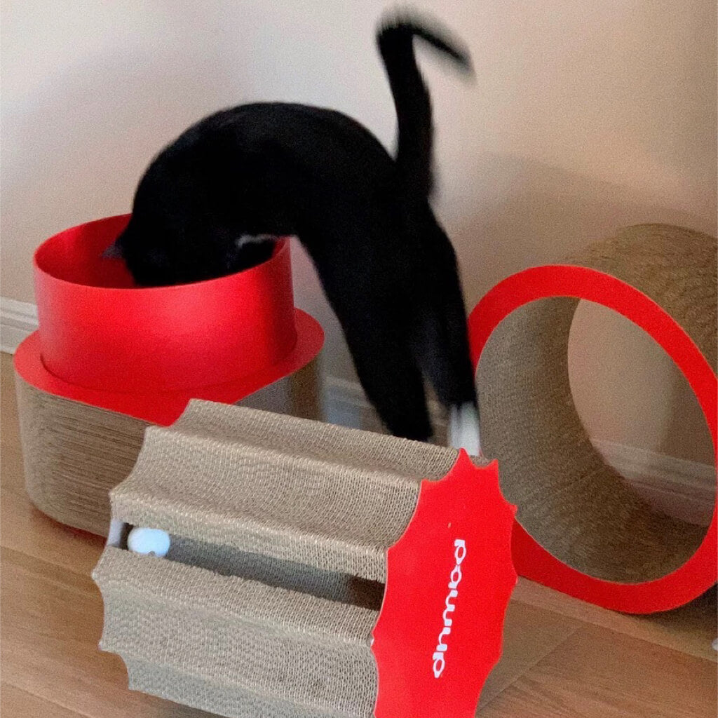 Playful scene with a cat interacting with different pieces of the XYZ Modular Cat Scratching Set in red and cardboard textures.