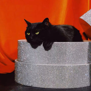 Black cat lounging in the Catsby Diamond Party scratcher and bed, a shimmering retreat adorned with crystals.