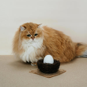 PoketPet Bakery – Orange cat with wool felt egg toy.
