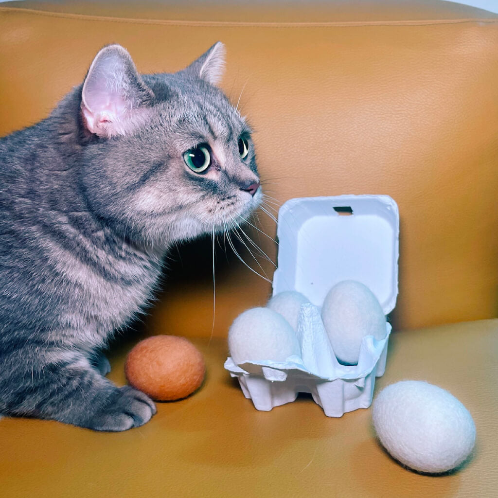 Curious cat playing with wool felt eggs from PoketPet Bakery.