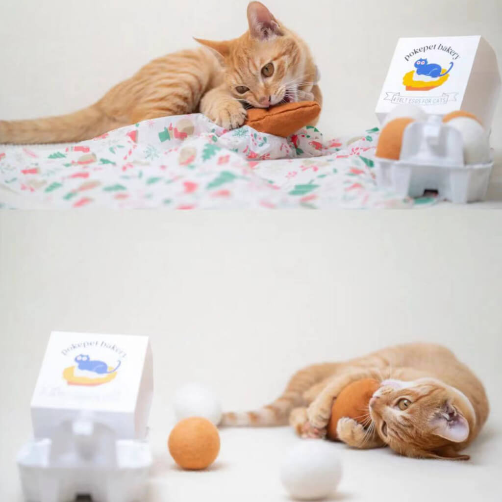 Orange tabby playing with the wool felt baguette and eggs cat toys.