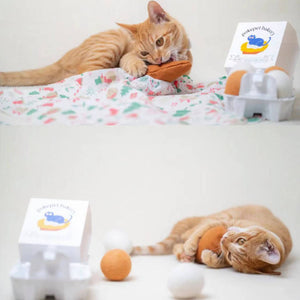 Orange tabby playing with the wool felt baguette and eggs cat toys.
