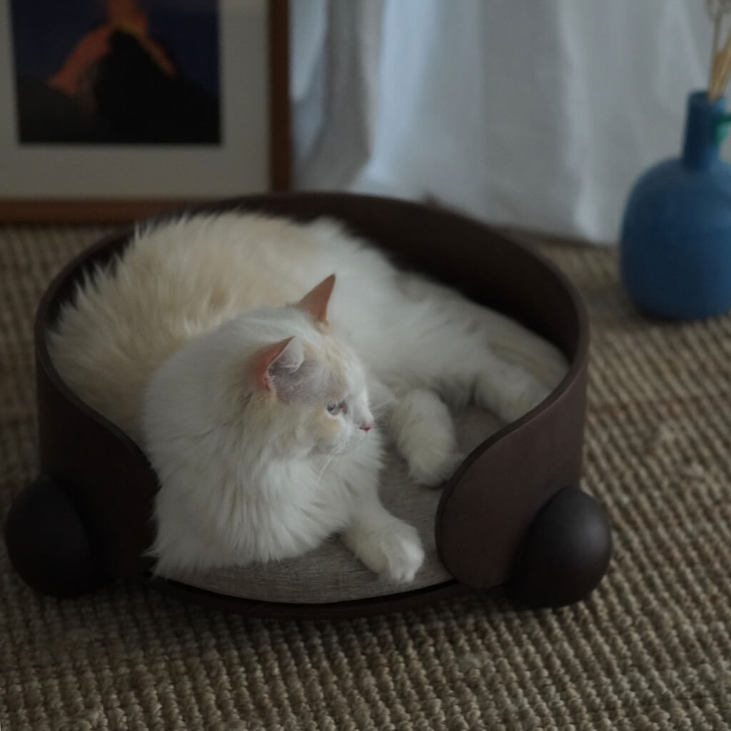Fluffy white cat lounging in HugMe Pine Wood Pet Bed – Semi-enclosed design provides a hug-like sense of security, perfect for restful sleep.