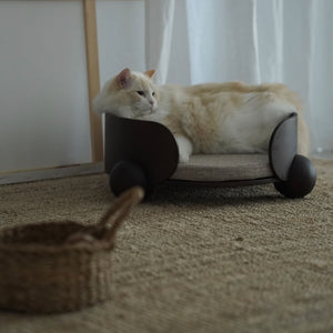 Cozy pet lounger in a natural home setting with neutral tones – Warm-toned pine wood and soft cushioning create a relaxing, stylish retreat for pets.