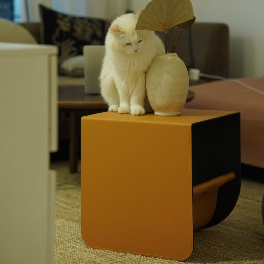 Contemporary cat-friendly furniture with a minimalist saddle leather finish, doubling as a side table for modern homes.