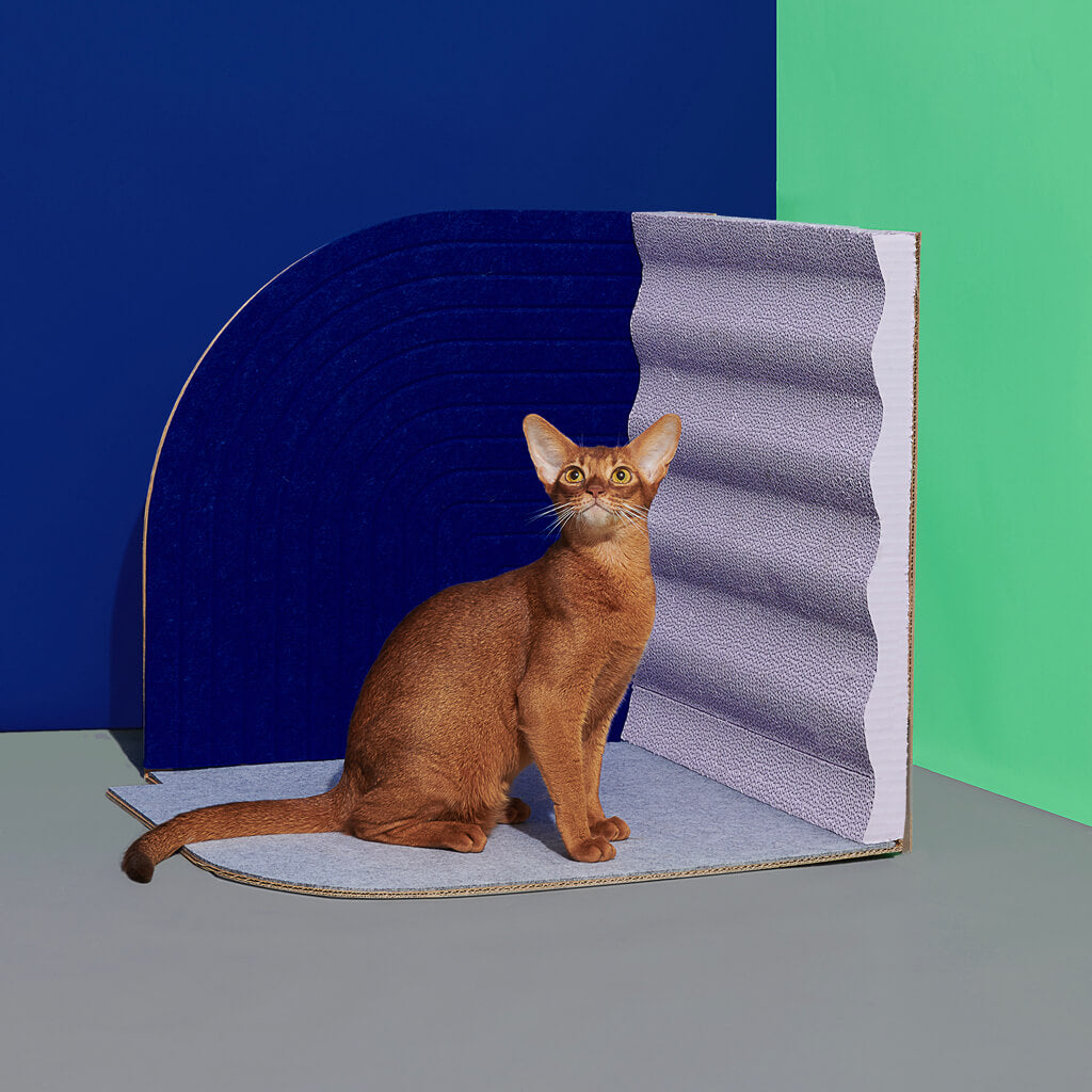 Purrre 3-Dimensional Design Cat Scratcher - Velvet Blue with cat: Brown cat enjoying the 3-Dimensional Design Cat Scratcher in Velvet Blue. A stylish addition to your home, offering multiple scratching and lounging surfaces.