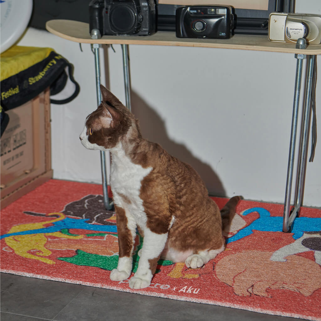 Cat sitting beside the Purrre Cat Illustration Floormat, demonstrating the vibrant design in a home setting.