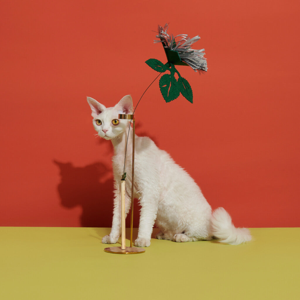 The Purrre Enchanting Cat Teaser - Sliver Grass set in a decorative stand, with a cat curiously observing the shimmering elements.