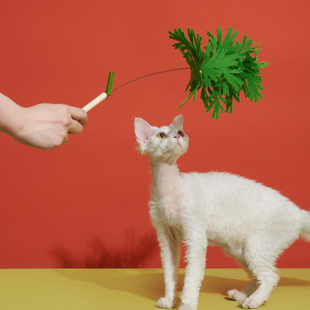 White cat reaching out to play with the Purrre Enchanting Cat Teaser - Umbrella Pine-green.