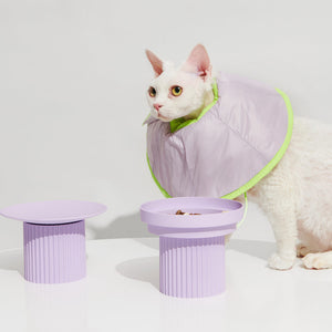 Side view of the cat in the collar, demonstrating its dual functionality as a neck wrap for mealtime comfort.