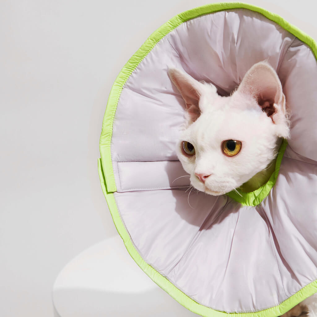 Close-up of the soft padded material on the Reversible Padded Pet Recovery E-Collar.