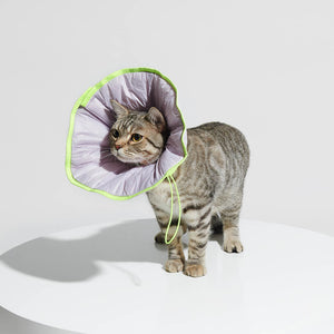 Tabby cat wearing the collar, showcasing full-body coverage and neck protection.